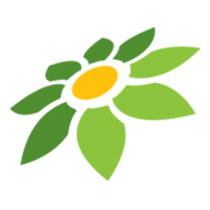 ANIME SPRING